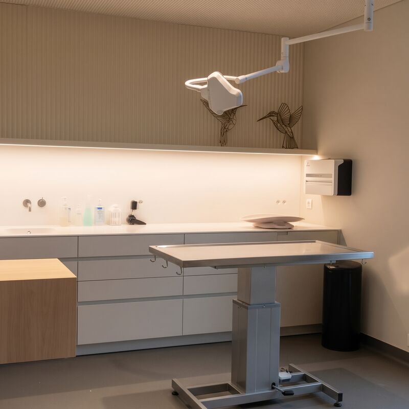 Consultatieruimte met onderzoekstafel in de praktijk VETCORNER