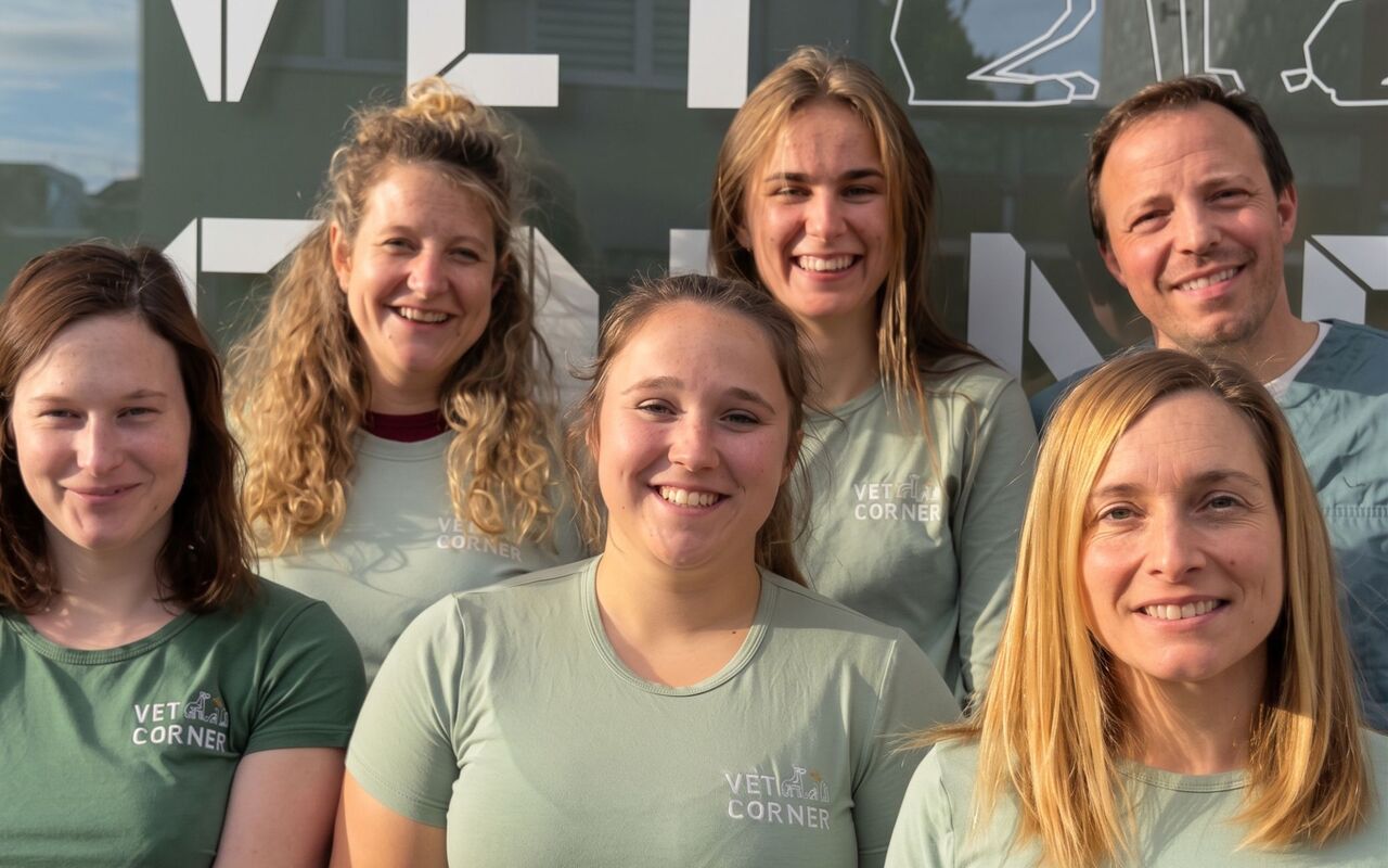 Het VETCORNER-team voor de praktijk in Halle